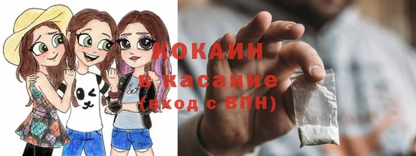 мяу мяу кристалл Корсаков