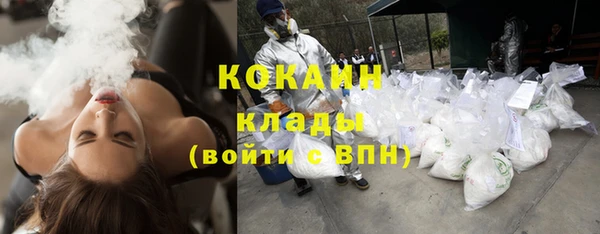 мяу мяу кристалл Корсаков