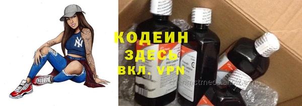мяу мяу кристалл Корсаков