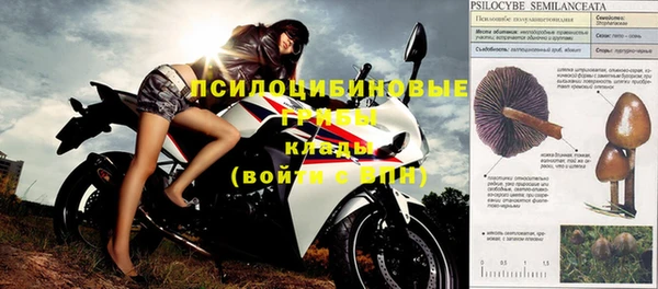 мяу мяу кристалл Корсаков
