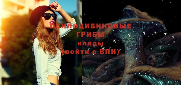 дмт Коряжма