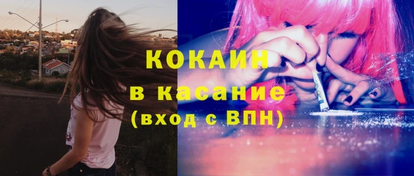 мяу мяу кристалл Корсаков